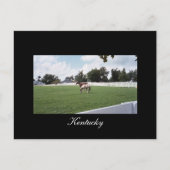 Kentucky Briefkaart (Voorkant)