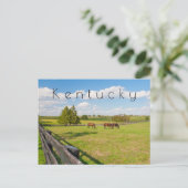 Kentucky Briefkaart, paarden op het boerderij Briefkaart (Staand voorkant)