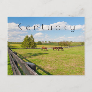 Kentucky Briefkaart, paarden op het boerderij Briefkaart