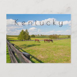 Kentucky Briefkaart, paarden op het boerderij Briefkaart