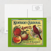 Kentucky Cardinal Bird Briefkaart (Voorkant / Achterkant)