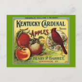 Kentucky Cardinal Bird Briefkaart (Voorkant)