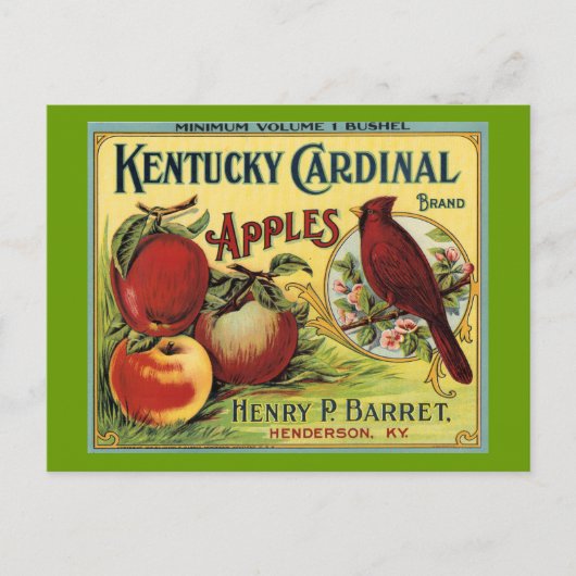 Kentucky Cardinal Bird Briefkaart (Voorkant)