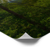 Kentucky Countryside Poster (Hoek)