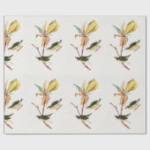 Kentucky Fly-Catching Warbler Birds Illustration Cadeaupapier (Vlak)