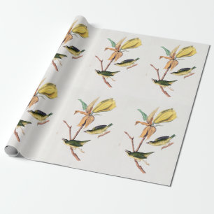Kentucky Fly-Catching Warbler Birds Illustration Cadeaupapier