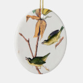 Kentucky Fly-Catching Warbler Birds Illustration Keramisch Ornament (Rechts)