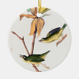 Kentucky Fly-Catching Warbler Birds Illustration Keramisch Ornament