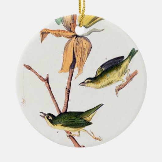 Kentucky Fly-Catching Warbler Birds Illustration Keramisch Ornament (Voorkant)