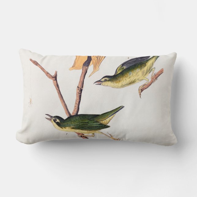 Kentucky Fly-Catching Warbler Birds Illustration Kussen (Voorkant)