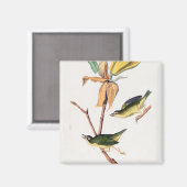 Kentucky Fly-Catching Warbler Birds Illustration Magneet (Voorkant / Achterkant)