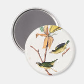Kentucky Fly-Catching Warbler Birds Illustration Magneet (Voorkant / Achterkant)