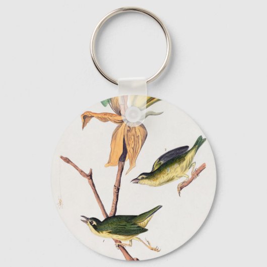 Kentucky Fly-Catching Warbler Birds Illustration Sleutelhanger (Voorkant)