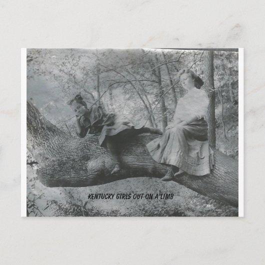 Kentucky Girls op een Limb Briefkaart (Voorkant)