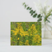 Kentucky Goldenrod Briefkaart (Staand voorkant)
