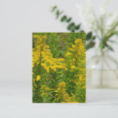 Kentucky Goldenrod Briefkaart (Staand voorkant)