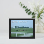 Kentucky Horse Park Briefkaart (Staand voorkant)