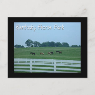 Kentucky Horse Park Briefkaart