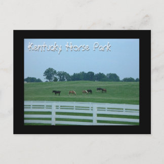 Kentucky Horse Park Briefkaart