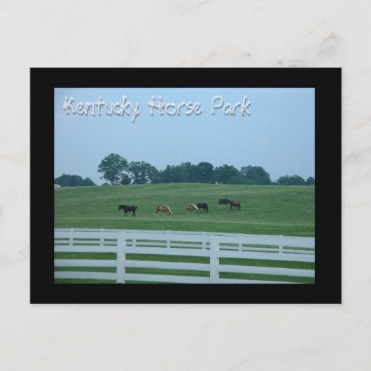 Kentucky Horse Park Briefkaart (Voorkant)