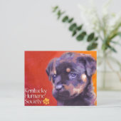 Kentucky Humane Society Briefkaart (Staand voorkant)