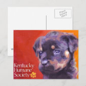 Kentucky Humane Society Briefkaart (Voorkant / Achterkant)