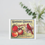 Kentucky Kardinaal Apples, Henry P Barret, Briefkaart (Staand voorkant)
