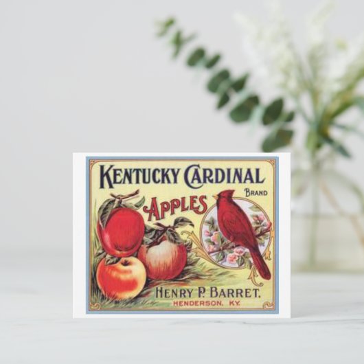  Kentucky Kardinaal Apples, Henry P Barret, Briefkaart (Staand voorkant)
