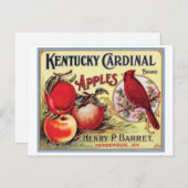 Kentucky Kardinaal Apples, Henry P Barret, Briefkaart (Voorkant / Achterkant)