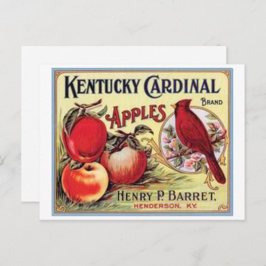  Kentucky Kardinaal Apples, Henry P Barret, Briefkaart (Voorkant / Achterkant)