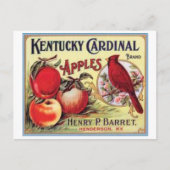  Kentucky Kardinaal Apples, Henry P Barret, Briefkaart (Voorkant)