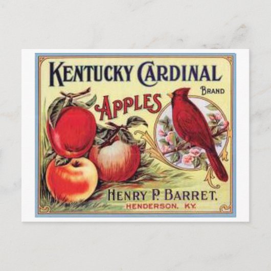 Kentucky Kardinaal Apples, Henry P Barret, Briefkaart (Voorkant)