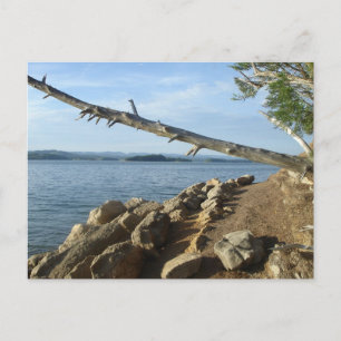 Kentucky Lake Shoreline Post Card Briefkaart