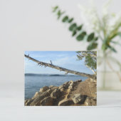 Kentucky Lake Shoreline Post Kaart (Staand voorkant)