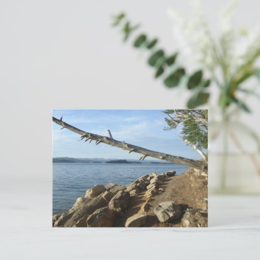 Kentucky Lake Shoreline Post Kaart (Staand voorkant)