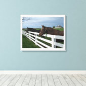 Kentucky Paard Land Canvas Afdruk (Insitu (Houten vloer))