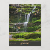 Kentucky River in Kentucky Briefkaart (Voorkant)