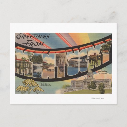 Kentucky (staatskapitaal/bloem) briefkaart (Voorkant)