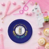 Kentucky Staatsvlag Papieren Bordje (Feest)