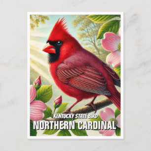 Kentucky State Bird - Noordelijke Kardinaal Briefkaart