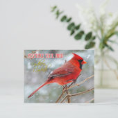 Kentucky State Bird - Northern Kardinaal Briefkaart (Staand voorkant)