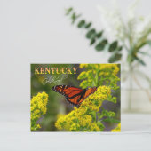 Kentucky State Flower: Goldenrod Briefkaart (Staand voorkant)