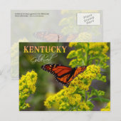 Kentucky State Flower: Goldenrod Briefkaart (Voorkant / Achterkant)