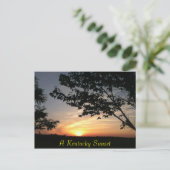 kentucky sunset briefkaart (Staand voorkant)