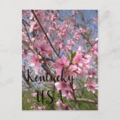 Kentucky USA Feestdagenkaart (Voorkant)