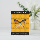 Kentucky Viceroy Butterfly Briefkaart (Staand voorkant)