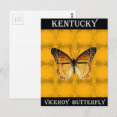 Kentucky Viceroy Butterfly Briefkaart (Voorkant / Achterkant)