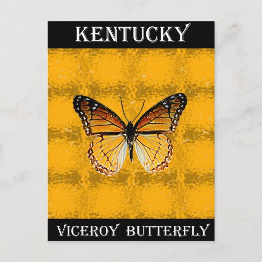 Kentucky Viceroy Butterfly Briefkaart (Voorkant)