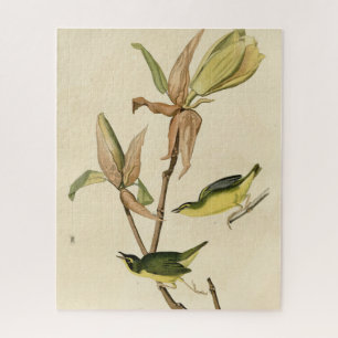 Kentucky Warbler uit de Amerikaanse vogels van Aud Legpuzzel
