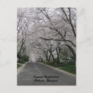 Kenwood, Bethesda, Maryland Briefkaart